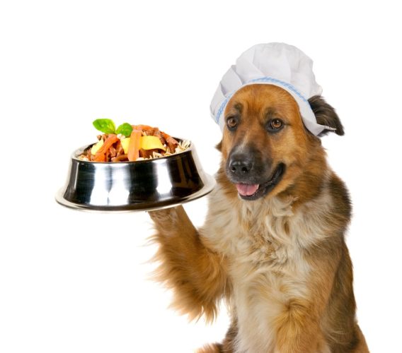 what-really-is-complete-and-balanced-dog-food-foodie-pooch